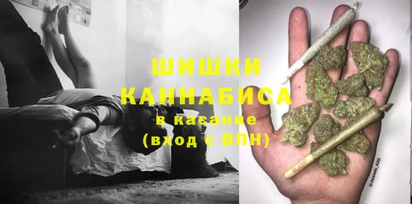 винт Вяземский