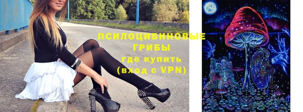 винт Вяземский