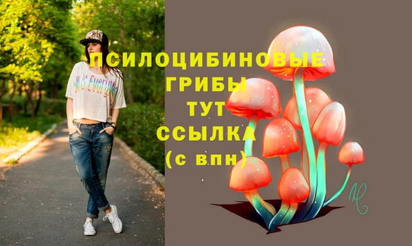 spice Вязьма