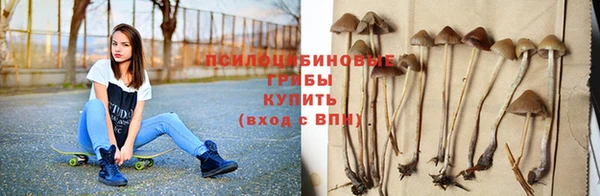 spice Вязьма
