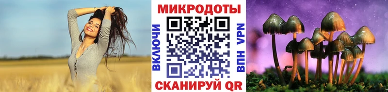 Купить  Лобня  Галлюциногенные грибы MAGIC MUSHROOMS 